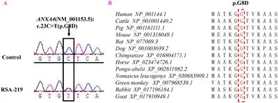 Whole exome sequencing identifies a novel mutation in Annexin A4 that is associated with recurrent spontaneous abortion